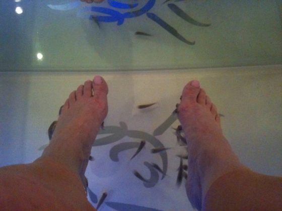 Image of feet in tank during fish pedicure