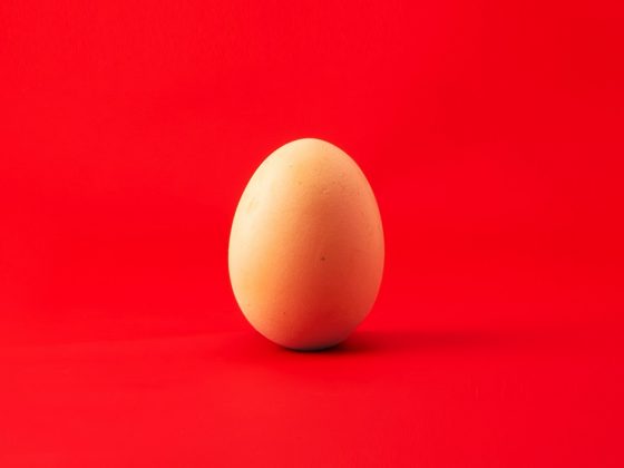 Picture of an egg on red background