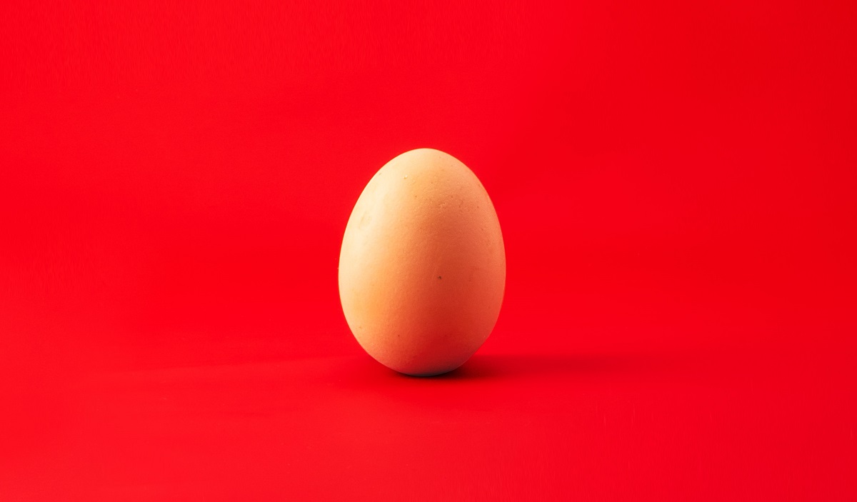 Picture of an egg on red background